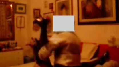 دو شاخه رسیده که یک کنه سیاه بزرگ را تحت عکس زنان سکسی لخت تأثیر قرار داده اند